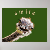 Happy Ostrich