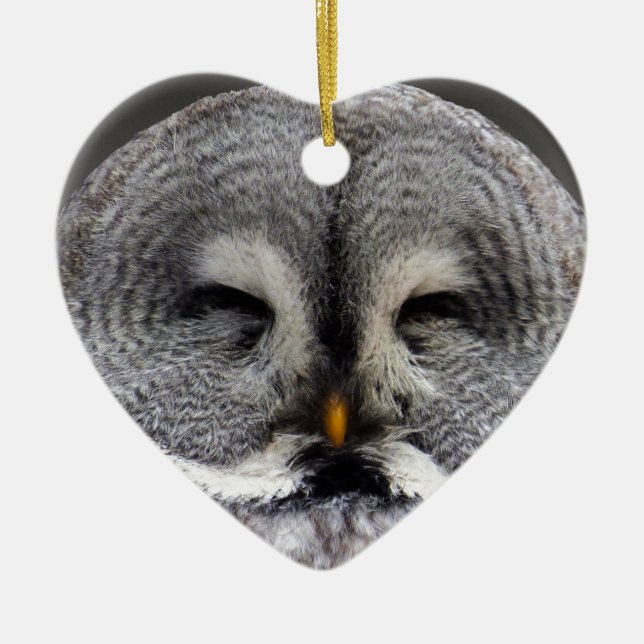 Happy Owl Ceramic Tree Decoration (Front)