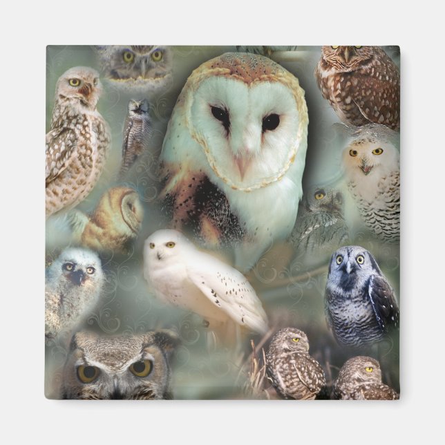Happy Owls Magnet (Front)