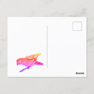 Happy parrot postcard