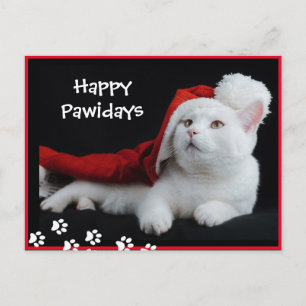 Happy Pawidays, Cat, Art Postcard