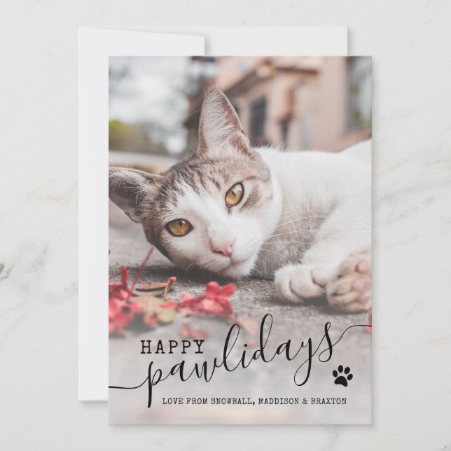 Happy Pawlidays Cat Photo Modern Pet Christmas Hol Holiday Card (Front)