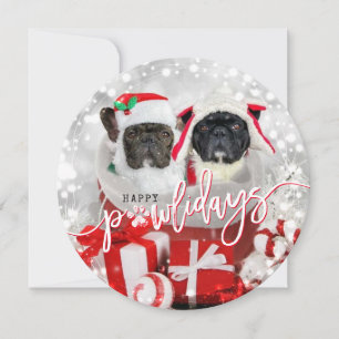 Happy Pawlidays Dog Holiday Photo