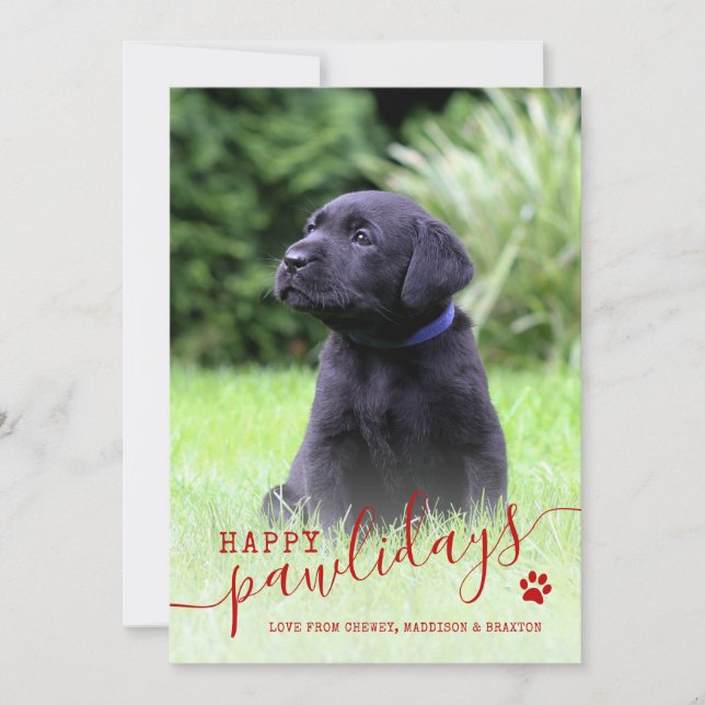 Happy Pawlidays Dog Photo Modern Pet Christmas Holiday Card (Front)