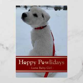 Happy Pawlidays Foil Holiday Card