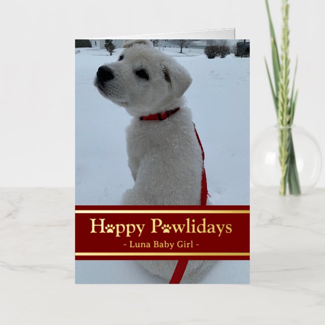 Happy Pawlidays Foil Holiday Card (Front)