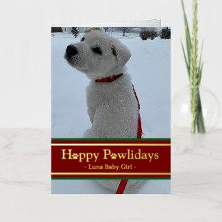 Happy Pawlidays Foil Holiday Card