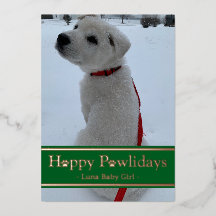 Happy Pawlidays