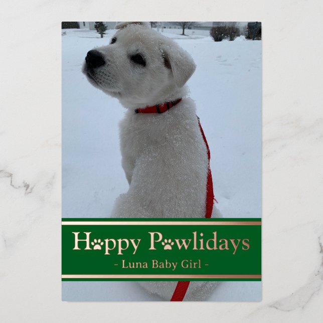 Happy Pawlidays Foil Holiday Card (Front)