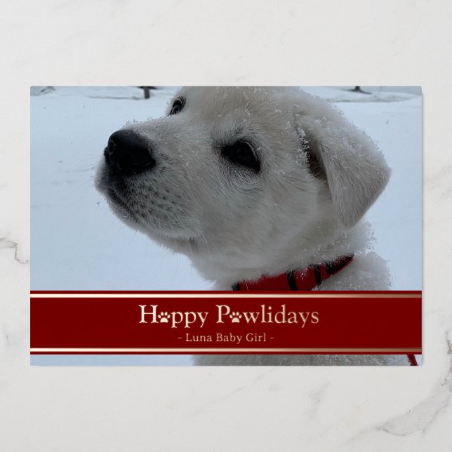 Happy Pawlidays Foil Holiday Card (Front)