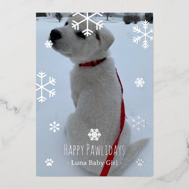 Happy Pawlidays Foil Holiday Card (Front)