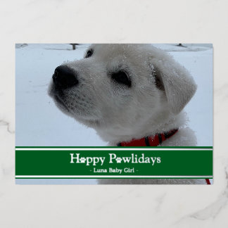 Happy Pawlidays Foil Holiday Card