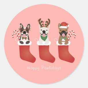Happy Pawlidays French Bulldogs Christmas Stocking Classic Round Sticker