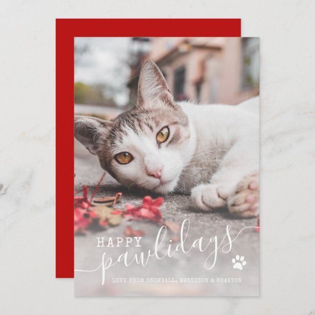 Happy Pawlidays Funny Cat Photo Pet Christmas Holiday Card (Front/Back)