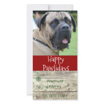Happy Pawlidays | Pet Christmas Greeting Photo