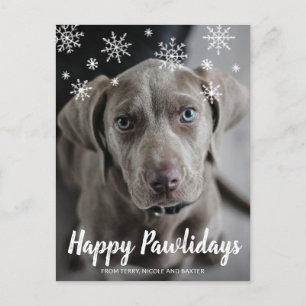 Happy Pawlidays Snowflakes Dog Photo Christmas Holiday Postcard