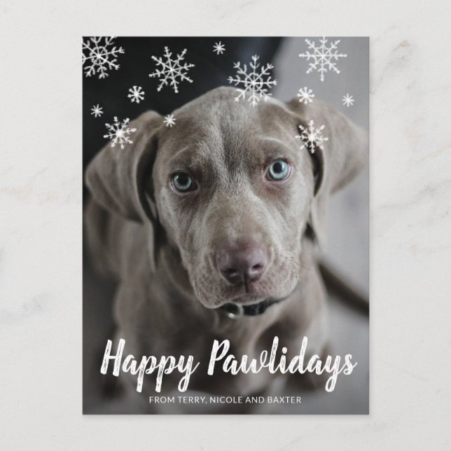 Happy Pawlidays Snowflakes Dog Photo Christmas Holiday Postcard (Front)