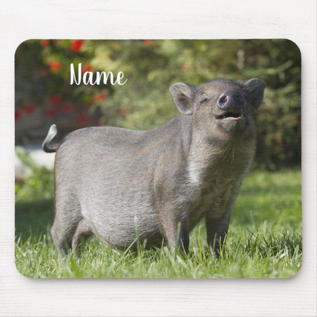 Happy Pet Mini Pot Bely Pig Mouse Mat (Front)