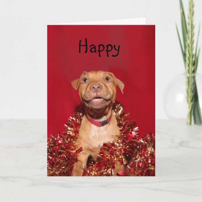Happy pitbull puppy Christmas Holiday Card (Front)
