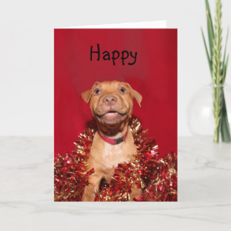 Happy pitbull puppy Christmas Holiday Card