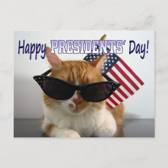 Happy Presidents' Day Cool Cat with Flag Postcard (Front)