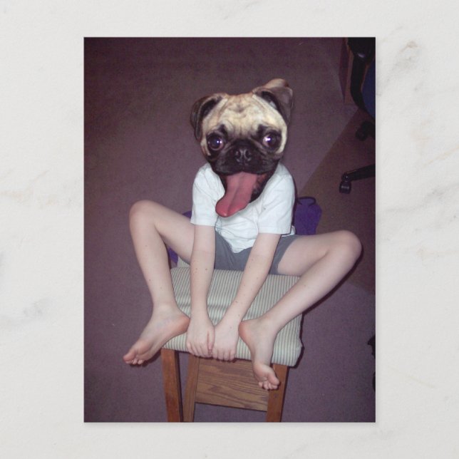 Happy pug-headed kid. postcard (Front)