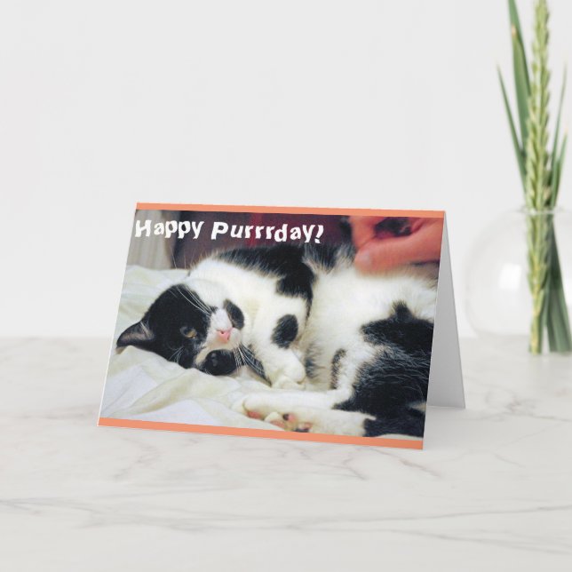 Happy Purrrday Cat Card (Front)
