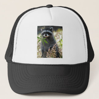 HAPPY RACCOON TRUCKER HAT