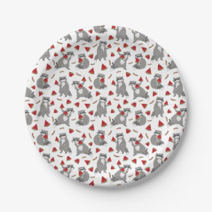 Happy racoon with watermelon paper plate