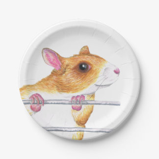 happy rat paper plates