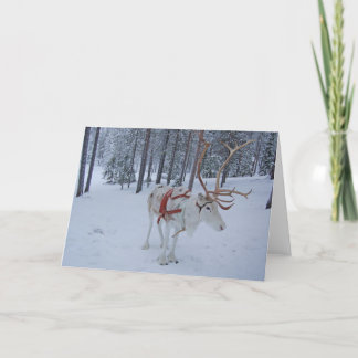 Happy reindeer holiday card