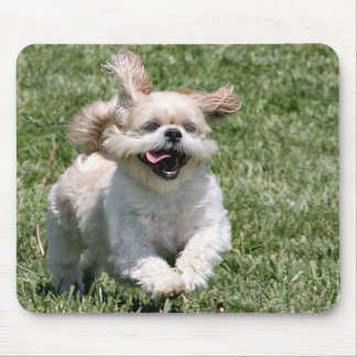 Happy running Shih Tzu Mouse Mat