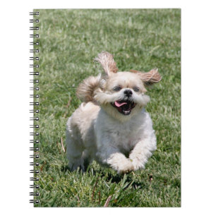Happy running Shih Tzu Notebook