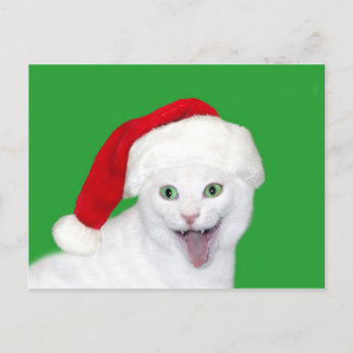 Happy Santa Cat Holiday Postcard