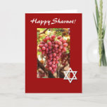Happy Shavuot-Red Grapes/Star of David Holiday Card<br><div class="desc">This pretty red card features beautiful red grapes,  and a Star of David celebrating the Jewish holiday of Shavuot!  Inside can be personalised to say what you wish. Image is public domain with permission from http://www.public-domain-image.com/</div>