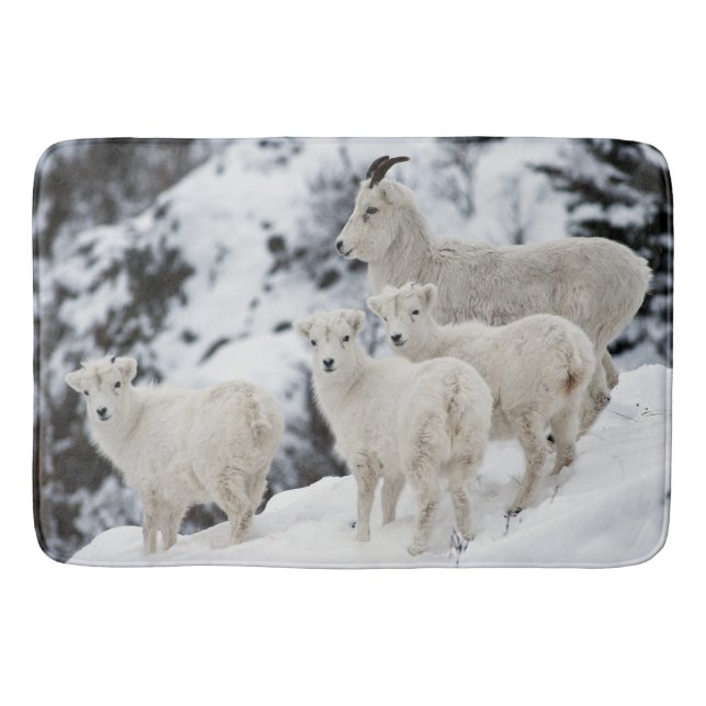 Happy Sheep Family Bath Mat (Front)