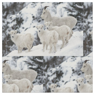 Happy Sheep Family Fabric
