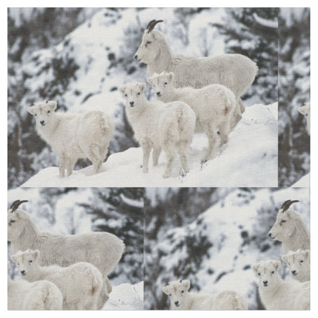Happy Sheep Family Fabric (Close Up)