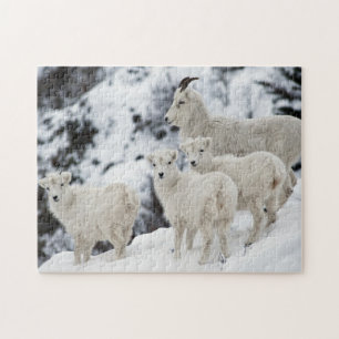 Happy Sheep Family Jigsaw Puzzle