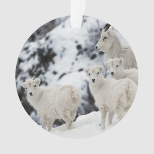 Happy Sheep Family Ornament