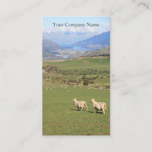 Happy Sheep in Field Photograph - Business Card