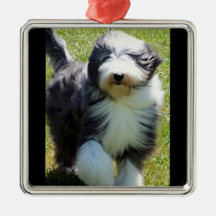 HAPPY SHEEPDOG CHRISTMAS ORNAMENT
