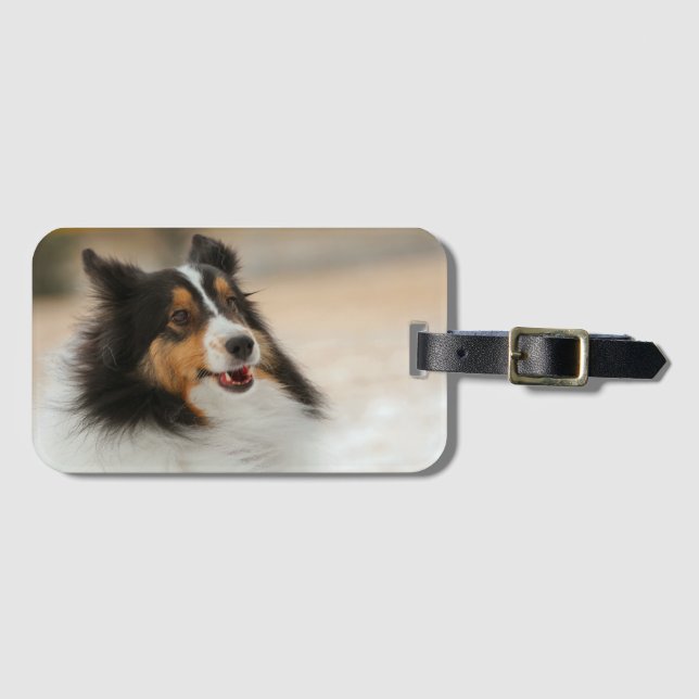 Happy Shelty  Luggage Tag (Front Horizontal)