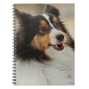 Happy Shelty  Notebook