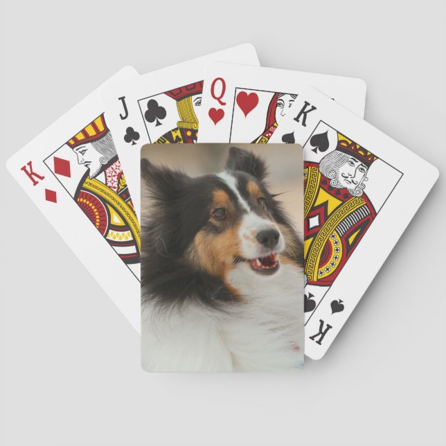 Happy Shelty  Playing Cards (Back)