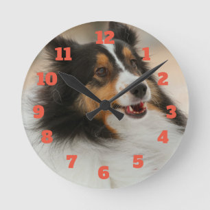 Happy shelty round clock