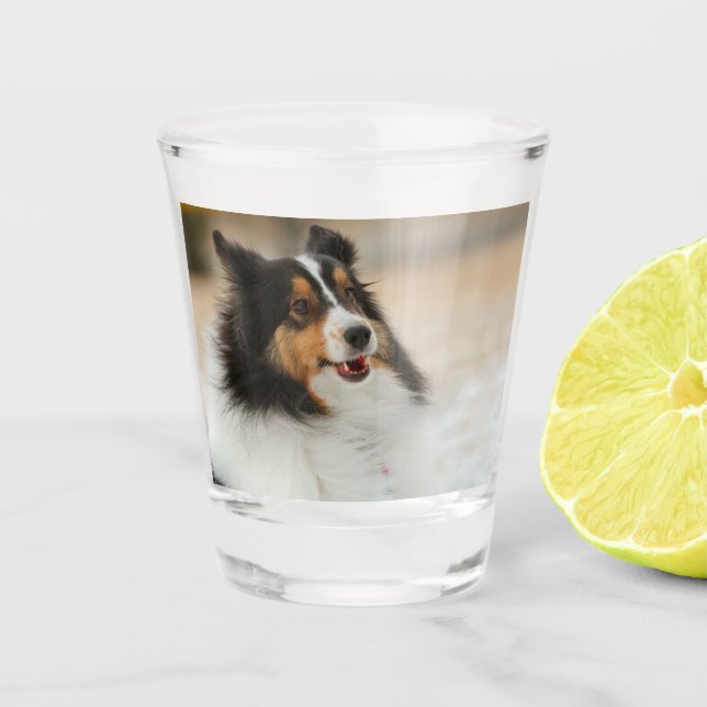 Happy Shelty Shot Glass (Front)
