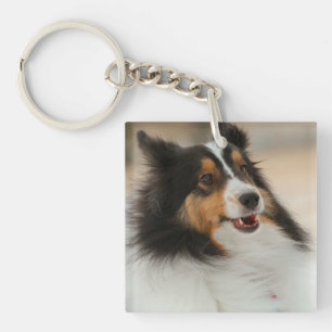Happy Shelty Soccer Ball Key Ring