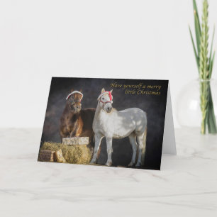 Happy Shetland pony Christmas Holiday Card