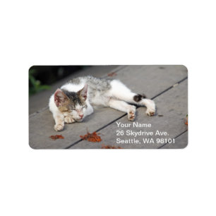 Happy Sleeping Cat Label